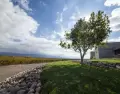 Visitar bodegas en Mendoza requiere algo de planificaci�n.