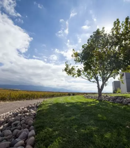 Visitar bodegas en Mendoza requiere algo de planificaci�n.