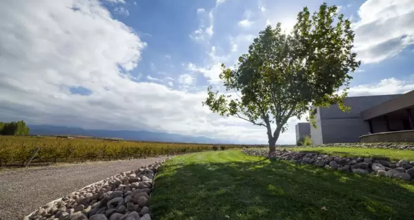 Visitar bodegas en Mendoza requiere algo de planificaci�n.