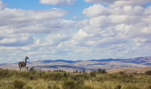 El Parque Provincial Ernesto Tornquist es uno de los grandes atractivos de la zona.