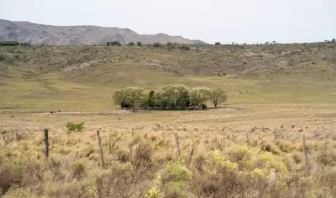 Las escapadas para el feriado del 9 de Julio pueden ser una gran oportunidad para viajar.