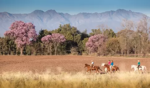 El Valle de Lerma suma paisaje y contexto.