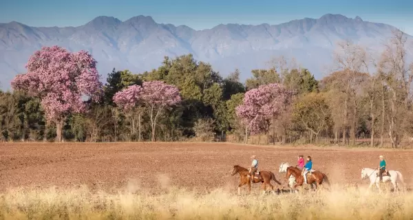 El Valle de Lerma suma paisaje y contexto.