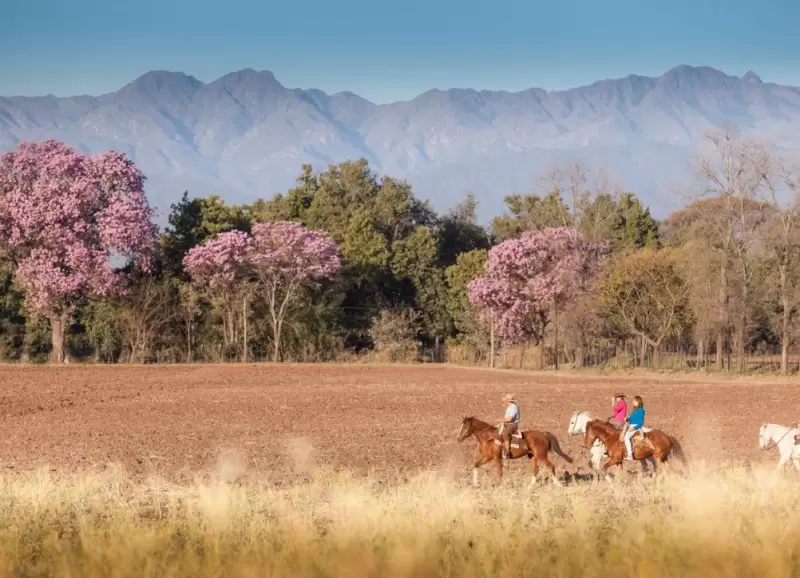 El Valle de Lerma suma paisaje y contexto.